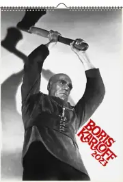 2025 Wall Calendar (12pg) BORIS KARLOFF Vintage Horror Monster Movie Poster 1558