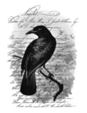 Vintage Image French Bird Raven Crow Night Poem Furniture Transfer Decals BIR855