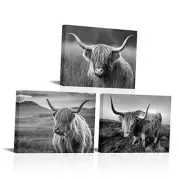 Highland Cow Wall Art Black and White Cow Picture Prints Home Decor Framed