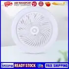 10 Inch Aromatherapy Silent Ceiling Fan with Lights Remote Control for Bedroom