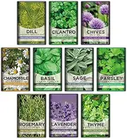 Meekear 10 Kit Non-GMO Growing into Thyme, Lavender, Chamomile, Dill, Chives, Cilantro, Rosemary, Basil, Parsley, Sage Indoor/Outdoor for Kitchen Windowsill Gardening Gift, 10H04