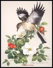 Chart Needlework DIY - Counted Cross Stitch Patterns - Mockingbird