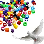 Weewooday 300 Pieces 8 mm Pigeon Leg Bands Ring Bird Quail Chicken Plastic Multi Color Foot Bands Clip on Leg Rings for Chicks Bantam Finch Dove Lovebird Small Poultry