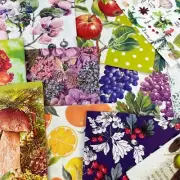 Assorted Decoupage Napkins, Mystery Pack Variety of 20 Botanical Napkins