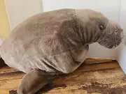 Jumbo Giant Plush Manatee Stuffed Animal Gray 30" Wild Republic CUTE!!
