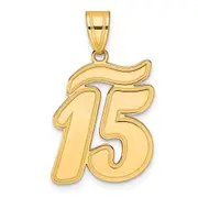 14k Yellow Gold Brushed Border Script Number 15 Pendant