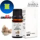 【 ANDZEN 】單方純精油5ml-薑 天然 草本