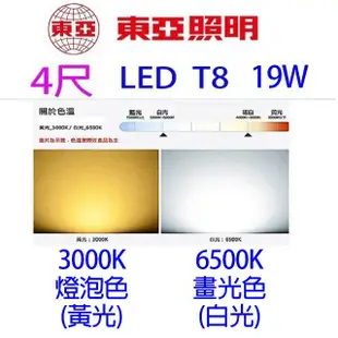 東亞 T8 19W 4尺 LED 燈管 (0.6折)