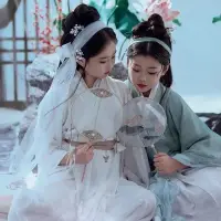 在飛比找蝦皮購物優惠-青蛇白蛇舞服裝少女古裝青蛇白蛇舞服女童古裝中國風古典表演兒童