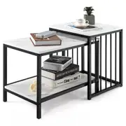 Modern Coffee Table Duo with Storage