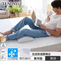 在飛比找momo購物網優惠-【TENDAYS】包浩斯紓壓萬用墊(靠墊 腰墊 膝下墊)