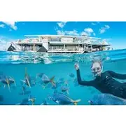 Save 25.00%! Great Barrier Reef Full Day Adventure