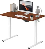 Electric Standing Desk with 100x60cm Maroon Desktop - Ergonomic, Height Adjustable E150