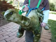 Kids Safari Wrap 'n' Ride Plush Green Stegosaurus Dinosaur Dino Costume