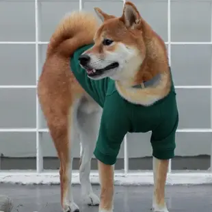 【CAMPET】VARSITY 美式刺繡大學T-復古綠-XL-2XL(寵物保暖衣)