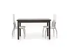 Extendable Table Rectangular Modern Weng