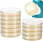 Baluue 10Pcs Nutrient Agar Petri Dishes Science Project Kit, 70mm Pre-Poured Agar Plates, Laboratory Experiment Prepoured Supplies for Students