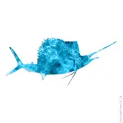Sailfish Billfish Fish, Vinyl Decal Sticker, 40 Patterns & 3 Sizes, #3699