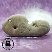 HOLEY HAG STONE NATURAL SURF TUMBLED BEACH ROCK WISHING GOOD LUCK FAIRY #1193