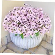 12 Bundles Artificial Flowers Outdoor Pansy Fake Flower Plastic UV Pink
