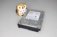 在飛比找露天拍賣優惠-HGST HUS726040ALE610 ULTRASTAR