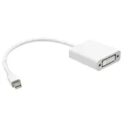 Mini DisplayPort DP Male to DVI Female Video Adapter Converter MacBook PC Laptop