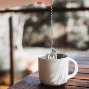 2 Pcs Sink Strainer Nettle Stainless Steel Tea Infuser Delicate