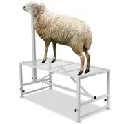 Goat & Sheep Stand, 51x23 inch Livestock Stand, Metal Livestock Milking and Shearing Stand 21" to 33" Adjustable Height, with Headpiece and Nose Loop, 500lbs Loading Weight,