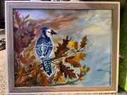 picture original art blue jay bird