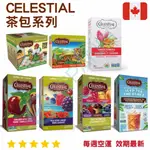 【義班迪】加拿大代購 CELESTIAL 茶包系列 水果茶 薑茶 晚安茶 冷泡茶 20入茶包 SEASONINGS