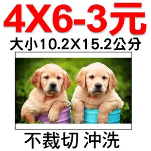 高級相紙4X6每張3元滿1000張每張2.2元 拍立得印相片洗相片相片沖洗洗照片2X3相片數位沖洗全家福沖片婚紗照