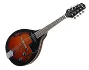 Freedom Acoustic-Electric 8 String Mandolin MT30 Cherry Red