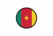Patch badge print iron on glue flag roundel circle cameroon