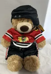 Build A Bear NHL Chicago Blackhawks Hockey Bear and outfit 14 inch Retired