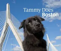 在飛比找博客來優惠-Tammy Does Boston