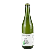 Fuente Guijarro Sidra Ancestral 2021 750ml Bottle