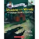 Shadow in the Woods and Other Scary Stories: An Acorn Book (Mister Shivers #2)