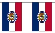 MISSOURI U.S. STATE BUNTING 9 metres 30 flags Polyester flag