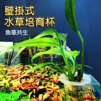 在飛比找蝦皮購物優惠-水上葉水草定植杯 造景 水草培育杯 壁掛式水草杯 魚草共生 