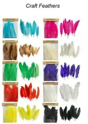 50 Craft Feathers Party Event Wedding Dream Catcher Costume DIY