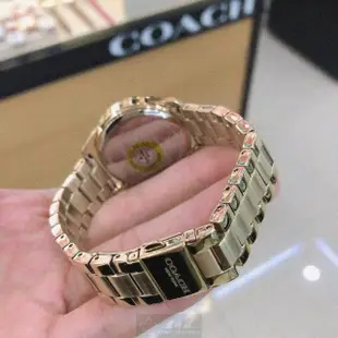 【COACH】COACH手錶型號CH00136(糖豆錶面彩色錶殼金色精鋼錶帶款)