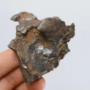 78g Gebel Kamil iron meteorite, Egypt, Space Gift, meteorite, specimen R1655