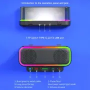 Portable Karaoke Machine with Dual Wireless Microphones Bluetooth Speaker LED