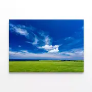 Coastline and Grassland Print 100% Australian Made 75 x 50cm (Stretched)
