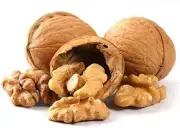 Walnuts In-shell Whole 2 LB