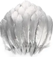✨ 120Pcs Silver Goose Feathers Natural Bulk 6-8 in.15-20Cm Nagoire