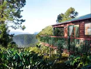 比治文白雲小屋Clouds On Beechmont Cottages