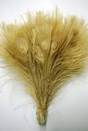 15 Pcs BLEACHED PEACOCK TAILS Feathers 10-12" Art/Crafts/Costume/Mardi Gras