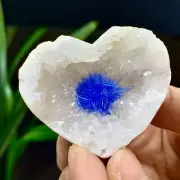 43G Indian dandelion zeolite Quartz Crystal Cluster Mineral Specimen