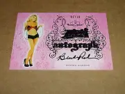 2015 Benchwarmer BRANDE RODERICK #15 Pink Archive Pewter SP/10 Playboy BAYWATCH
